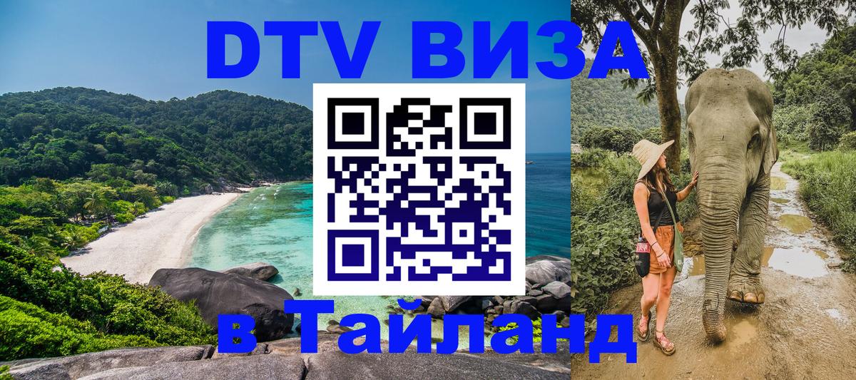 DTV виза Тайланд Ковров 